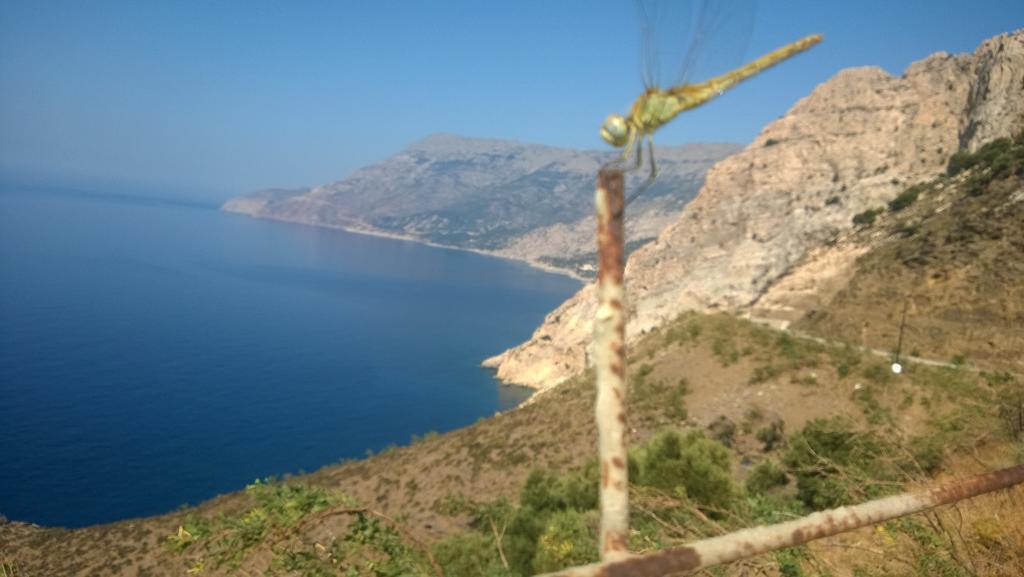 Ikaria Studios Manganítis Extérieur photo
